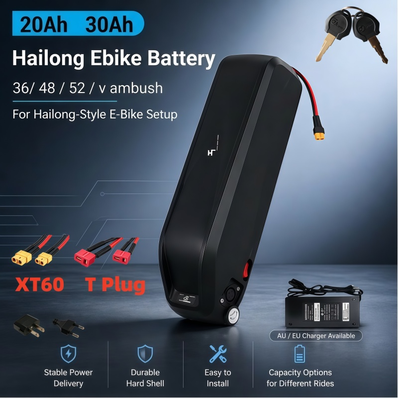 Ebike Battery 48V 20Ah Hailong - 다용도 하이롱 배터리, 다중 전압 36V