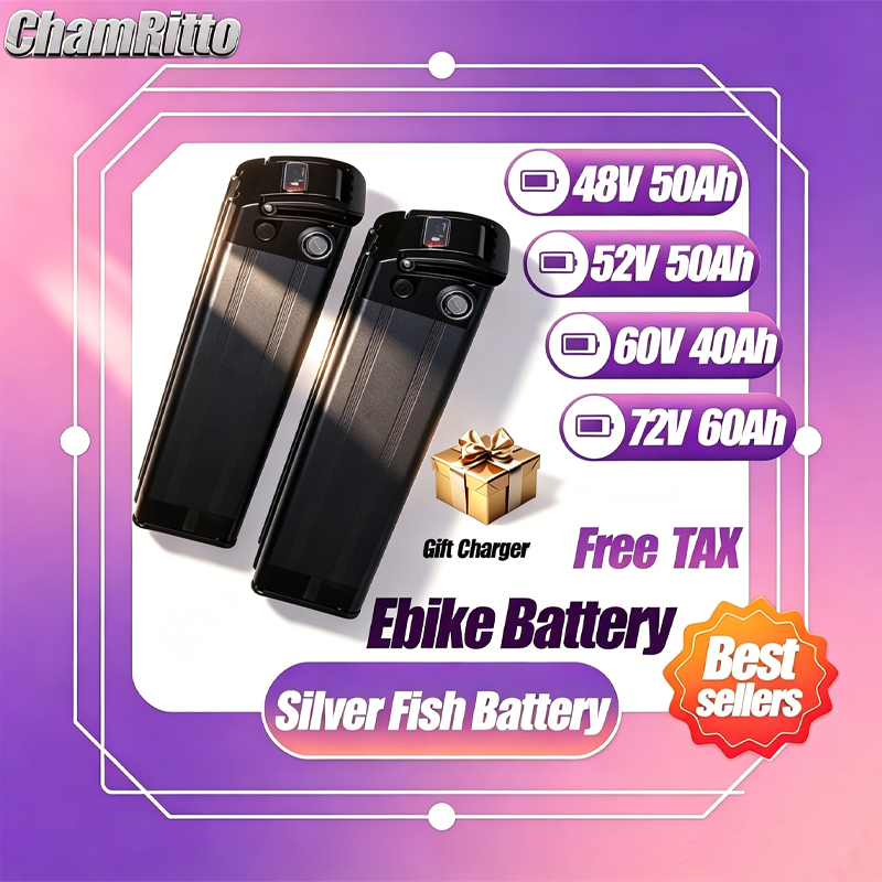 48V 전기 자전거 52V 실버피쉬 배터리 60V20  - Electric Bicycle Battery 72V 30Ah 리뷰 및 가격
