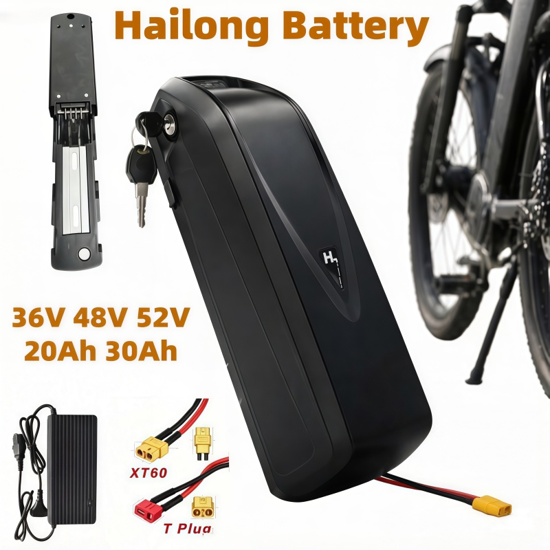 다양한 크기의 전기자전거 배터리 하이롱 모델, 36V  - Ebike Battery 48V 20Ah Hailong 리뷰 및 가격