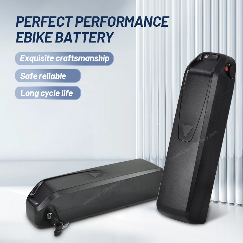 ALX Hailong ebike 배터리 Ridstar  - Ebike Battery 48V 20Ah Hailong 리뷰 및 가격