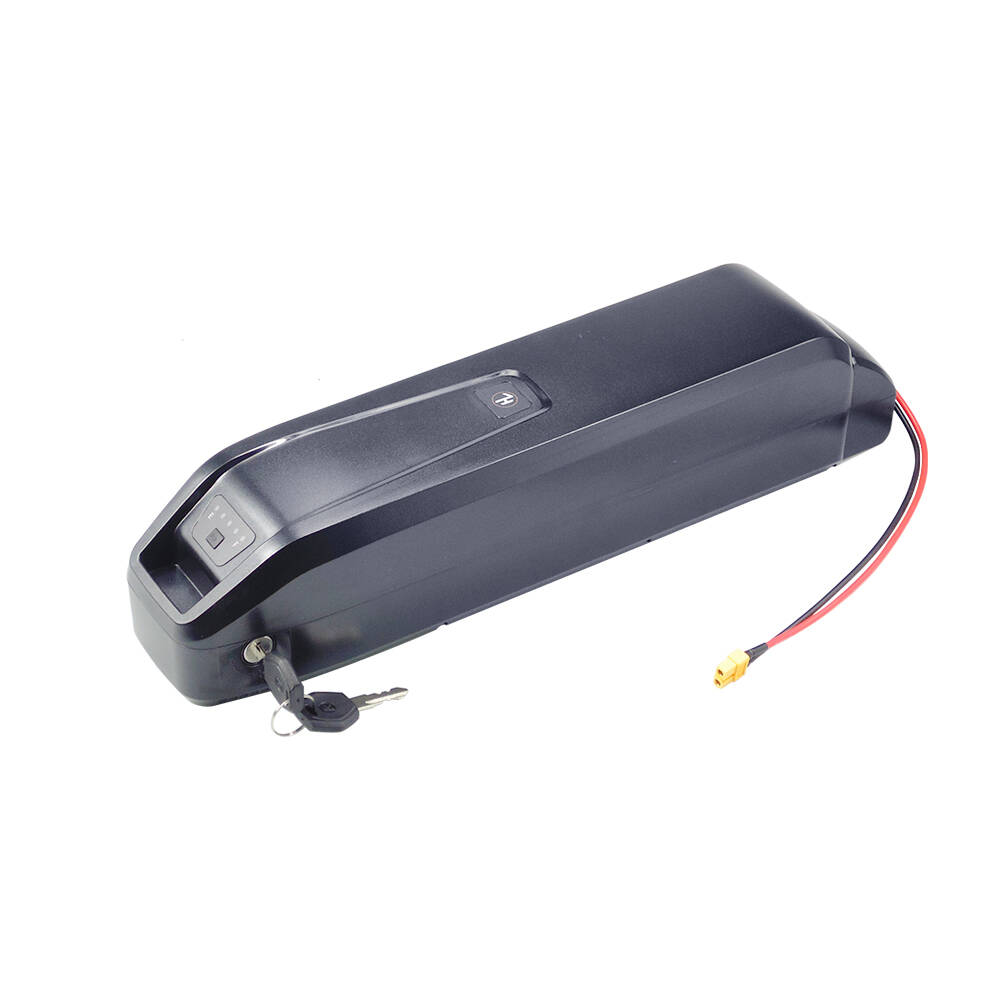 신형 S20 프로 48V 13Ah 20Ah 하일롱 전기 - Ebike Battery 48V 20Ah Hailong 리뷰 및 가격