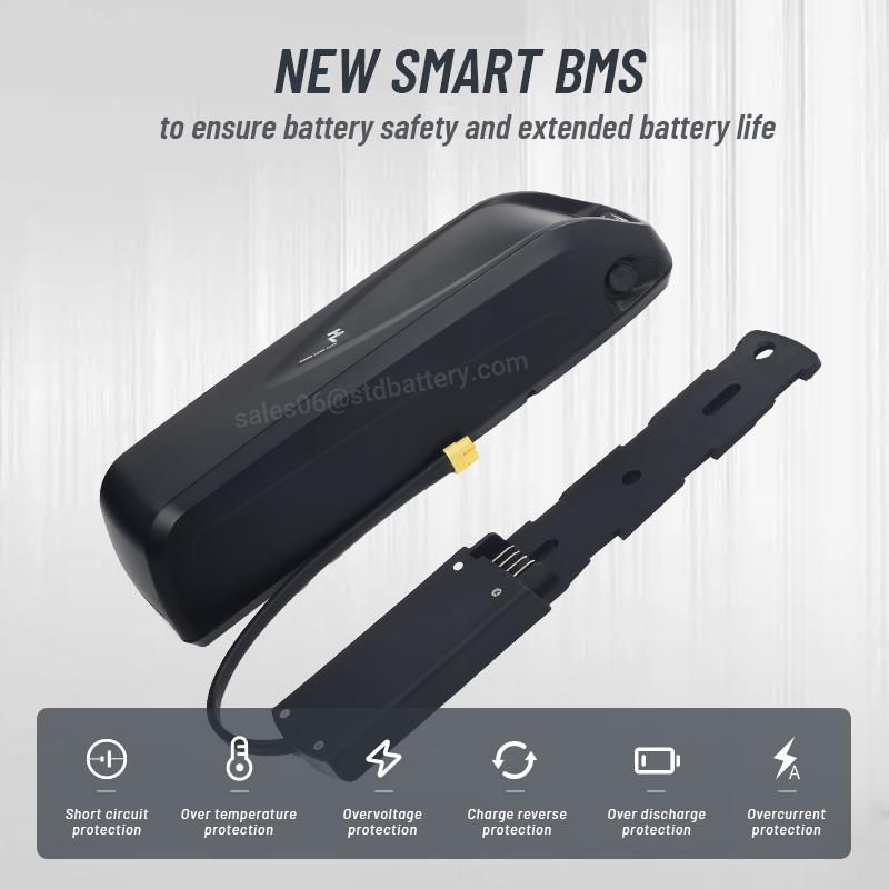 Hailong 전기 자전거 배터리 팩, 산악 자전거 1 - Ebike Battery 48V 20Ah Hailong 리뷰 및 가격